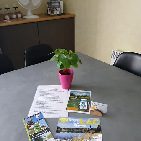 Bee Tree Apartment Vielsalm